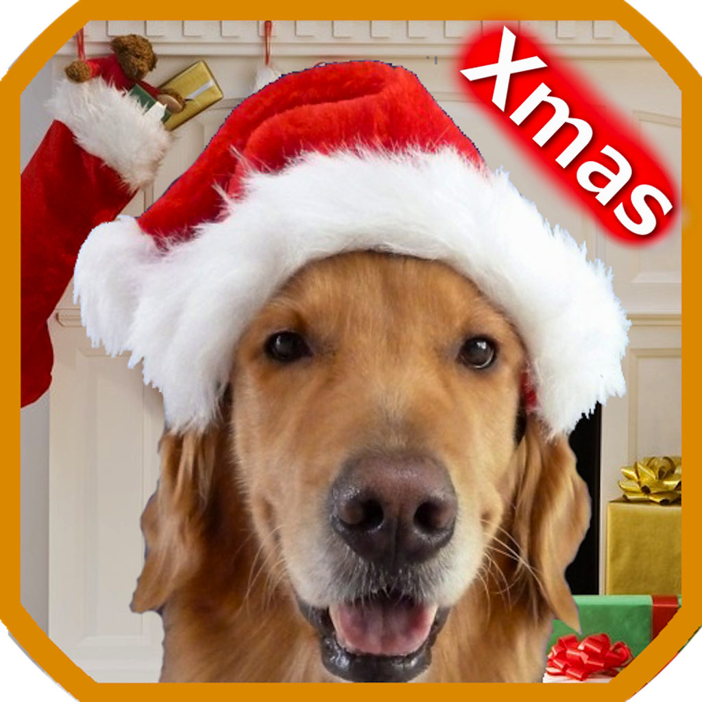 GoldenFeast Xmas GoldenFeast Xmas